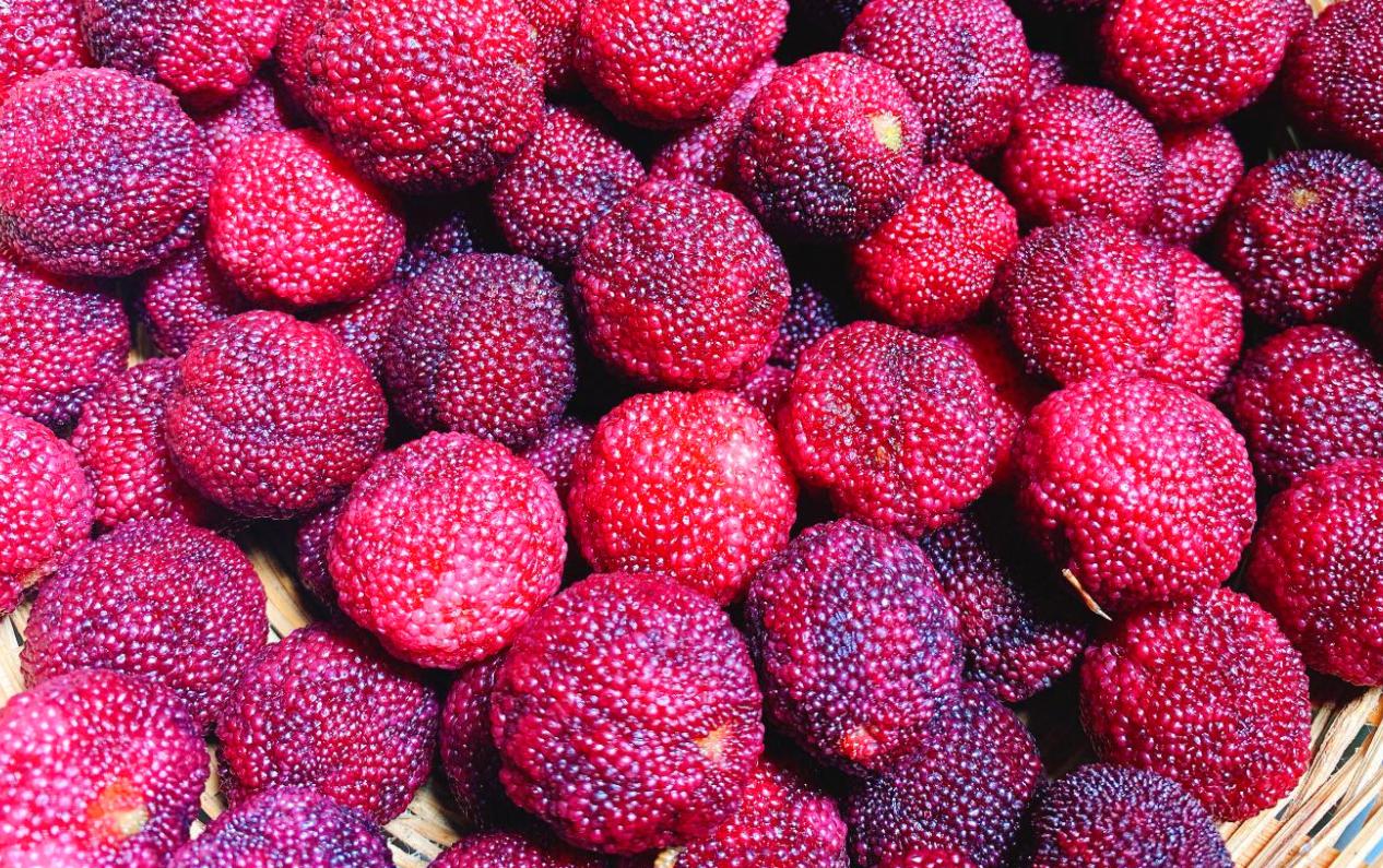 杨梅直接吃怎样才不酸,杨梅怎么泡杨梅酒