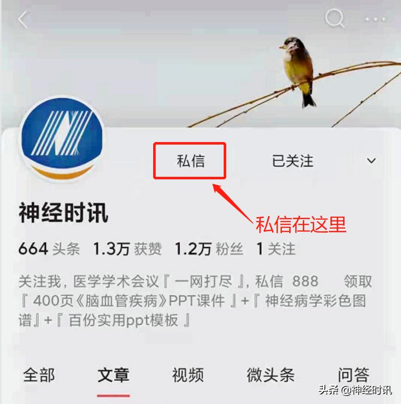 急性缺血性脑卒中ppt素材图片,青年缺血性脑卒中ppt