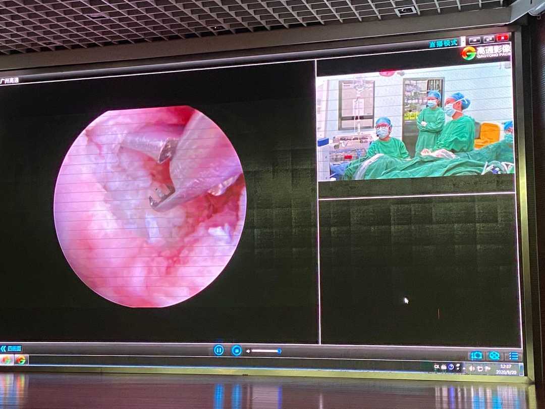 假日初探生殖中心