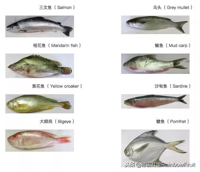 孕妇为什么不能吃螃蟹和柿子,孕妇吃螃蟹吃柿子有什么影响