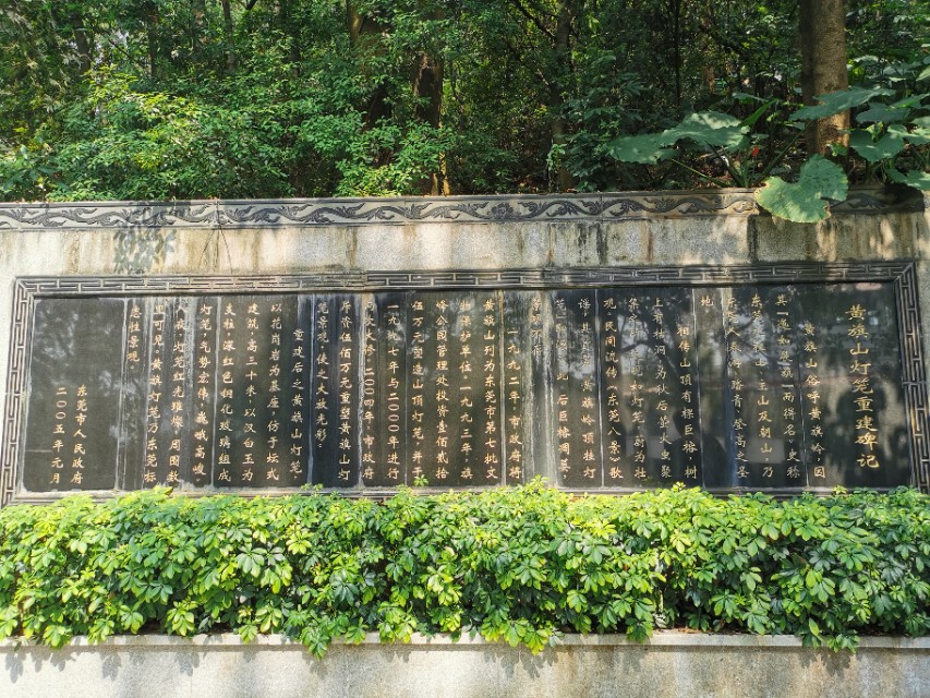 东莞长安周边一日游景点大全,东莞松山湖一日游最佳攻略