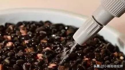 吃完的水果种子不要丢,吃完水果果核别扔