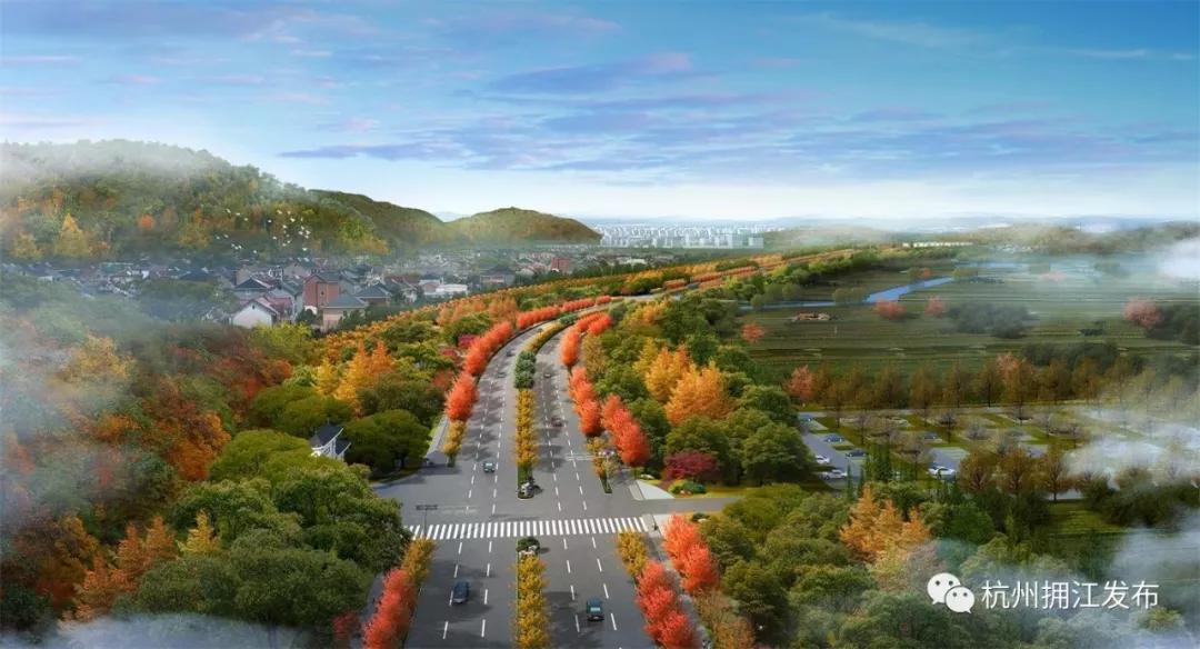 杭州之江高中2020录取分数线,杭州之江中学2020中考情况