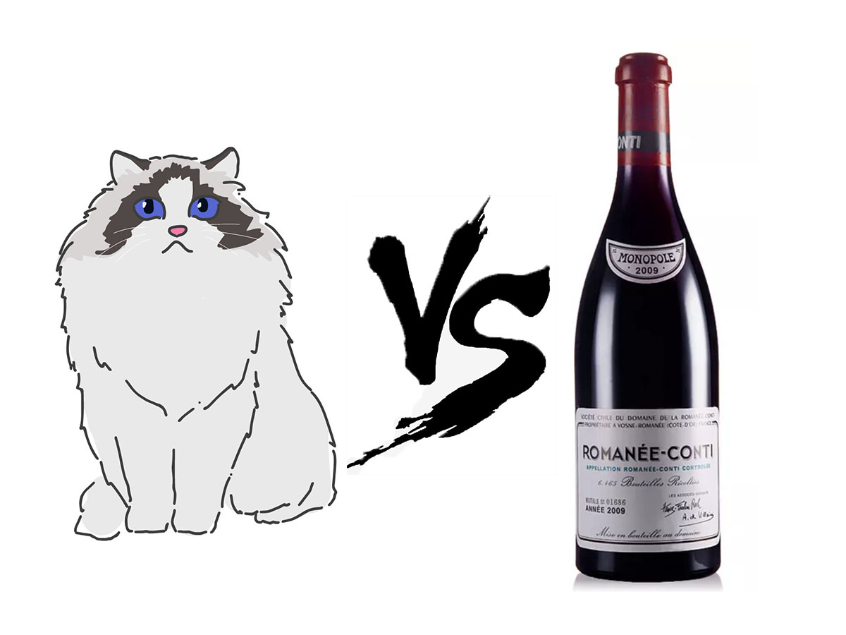 鍚哥尗璁╀汉涓嶈兘鑷嫈,鍚哥尗涓婄樉鐨勯摬灞庡畼