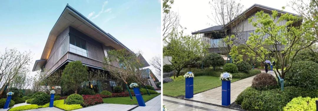 中天建设集团西北总部,中天集团西北总部袁总