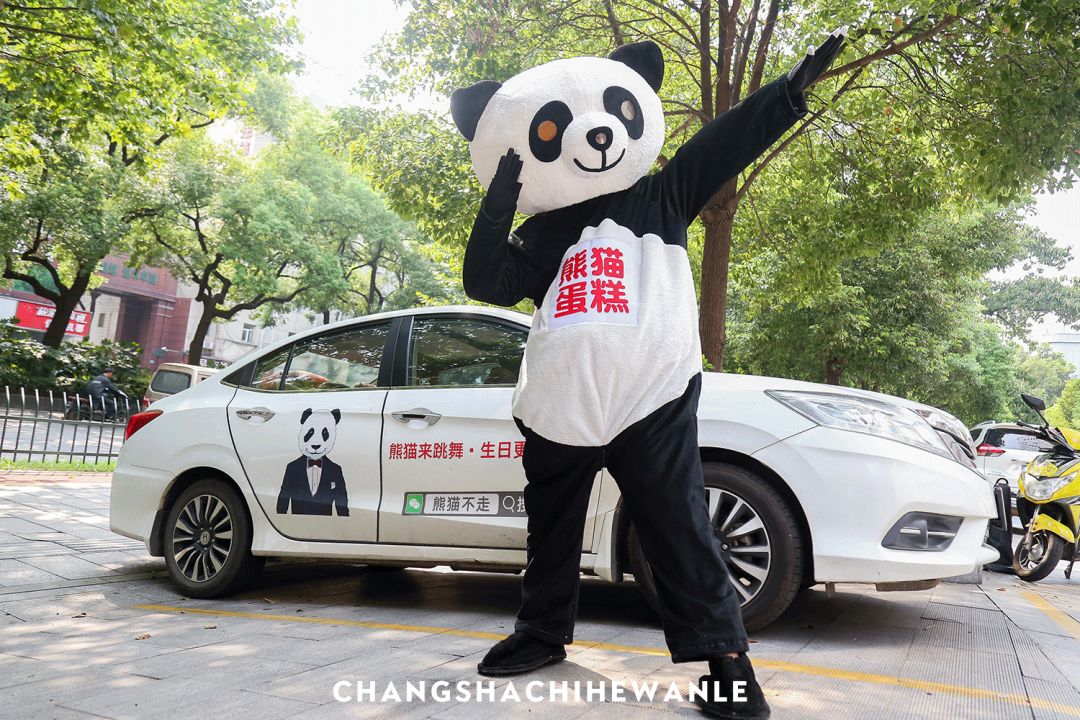 人均不到10元！买蛋糕送“熊猫”！火遍全国的网红蛋糕来啦