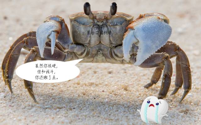 牙齿隐裂拔牙需要种植吗,牙齿裂一半深度还需要拔牙吗