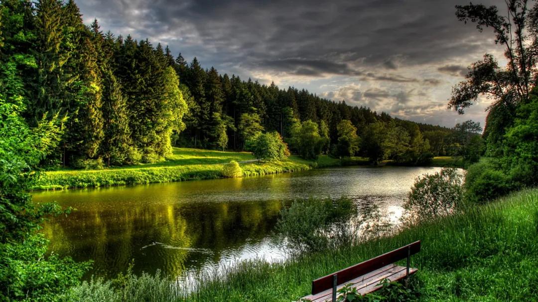 类比推理如何整理错题,类比推理中成语常见的考法