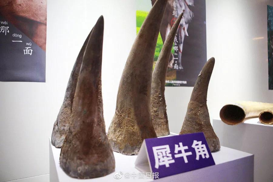 只为一串佛珠，他活剥了我妈的皮：人心有多可怕，你根本想象不到