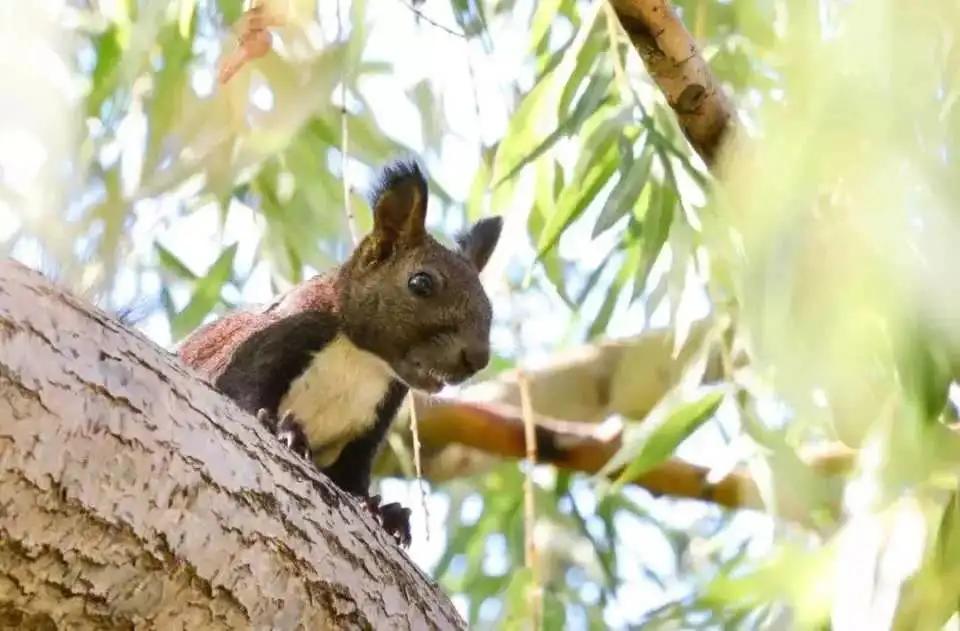 大连外国语大学2024年招生简章,大连外国语大学2021年研究生调剂