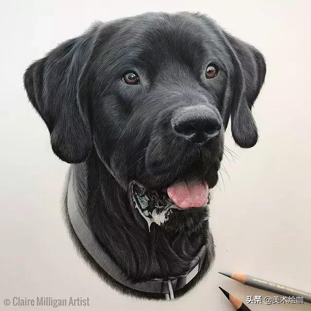 画的比照片还逼真,画的比照片还真实