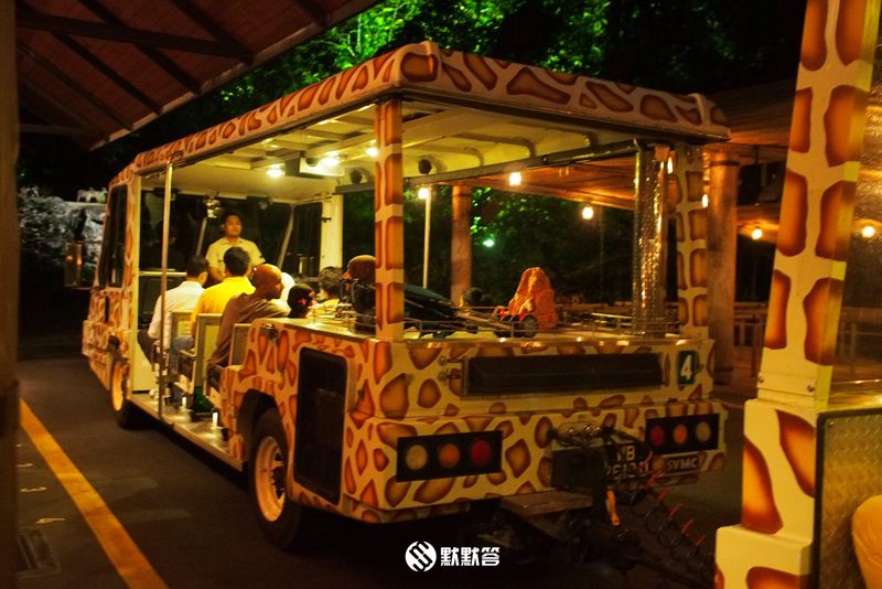 全世界有哪三所夜间动物园,全国第一夜间野生动物园