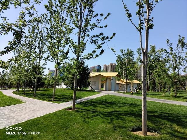 魅族17pro和三星note10+,三星s20和魅族17pro哪个好