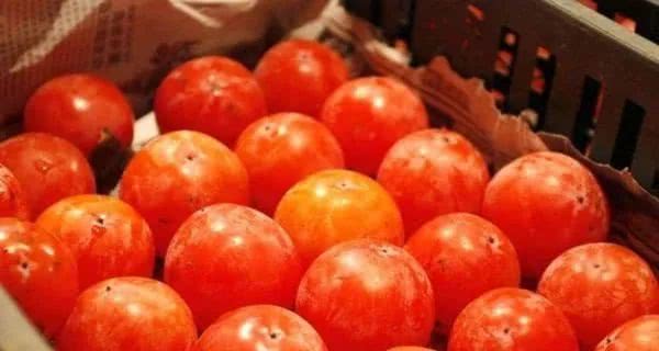 长安十二时辰高光片段,长安十二时辰绝美长安