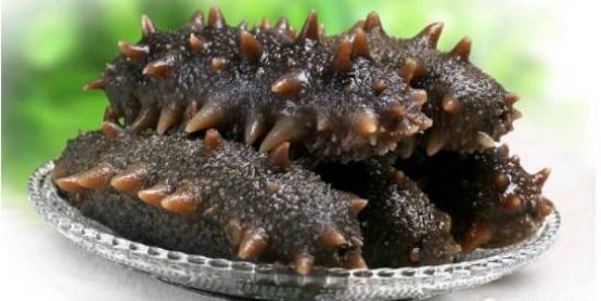 常吃海参,吃海参应注意些什么