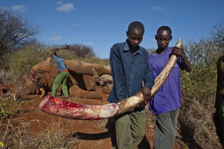 15岁怀孕的她，被骗吃下*药炸**，无辜去世：生而为人，有些人却不配