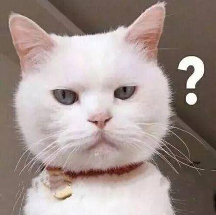 干粉测试,干粉冻怎么用