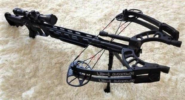 全球最好的弓弩：第2款“最变态”，轻松将野兽头骨击碎，价值5万