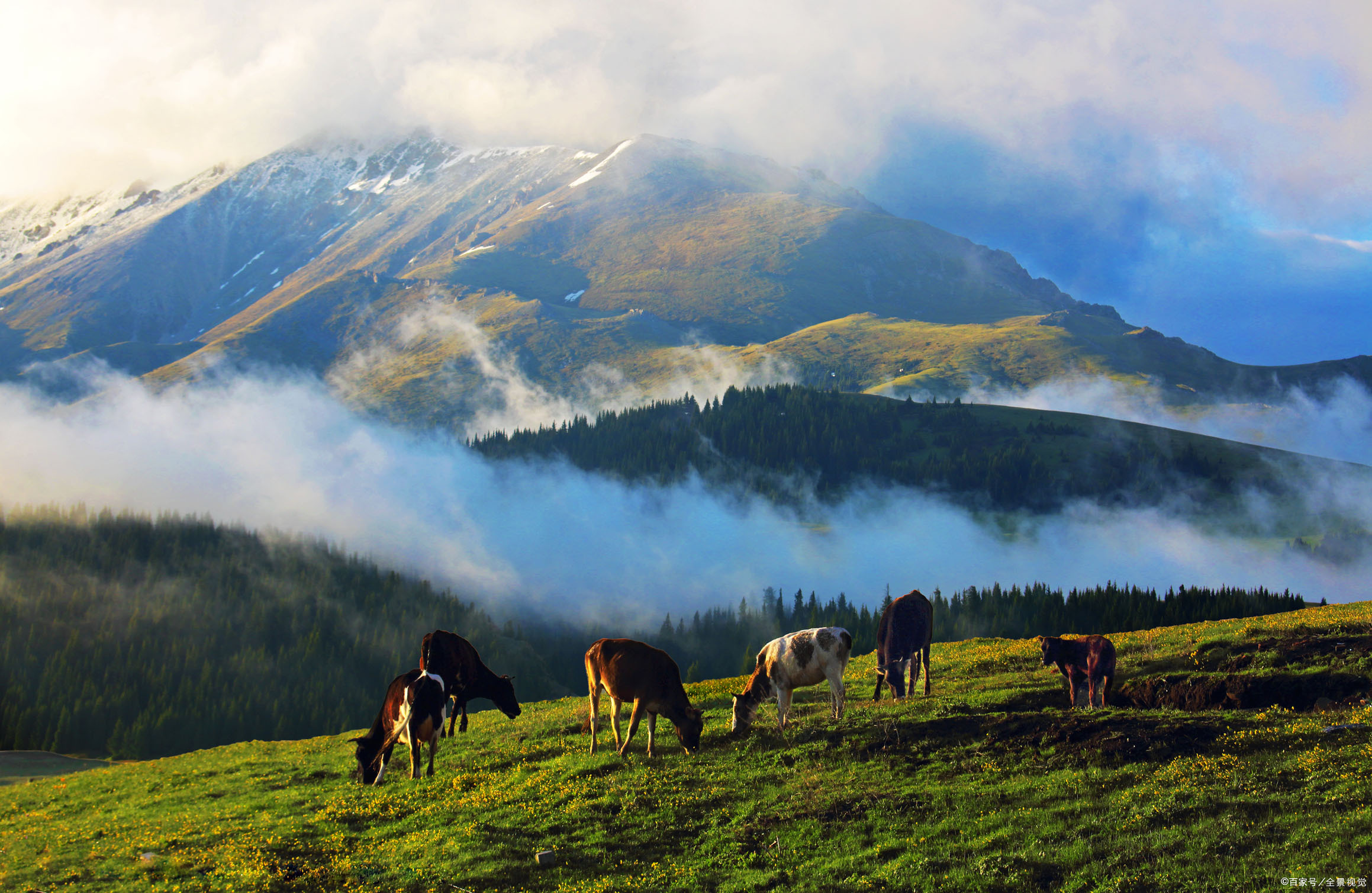 伊犁果子沟——山奇石怪的奇绝仙境