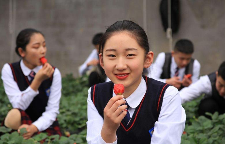 沈阳实力最强的小学,沈阳各区学区实力排行榜