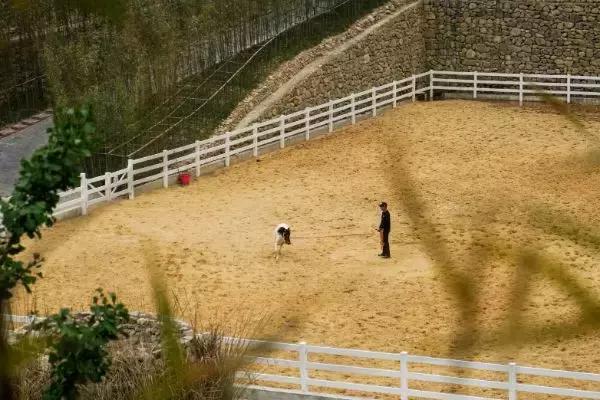 宁海安岚度假酒店,宁海安岚最美的酒店