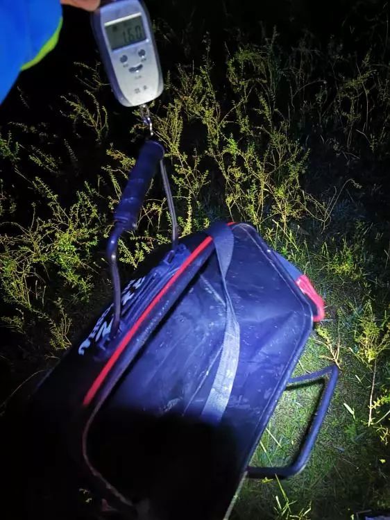 本汀金迦潘求败7米2,本汀金迦潘引领实测