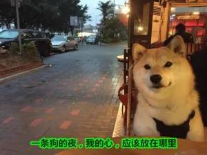 日本宅男是怎么解决特殊需求的?