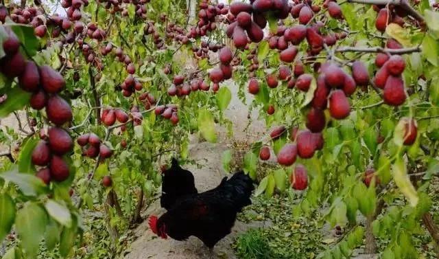 新疆广袤的沙漠地下真的有暗河吗,新疆的沙漠有一个大洞