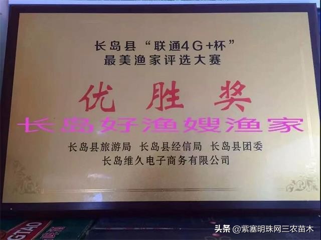 长岛值得去的渔家乐,长岛美丽的海岛