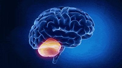 明矾炸油条有害健康吗,炸油条明矾中毒