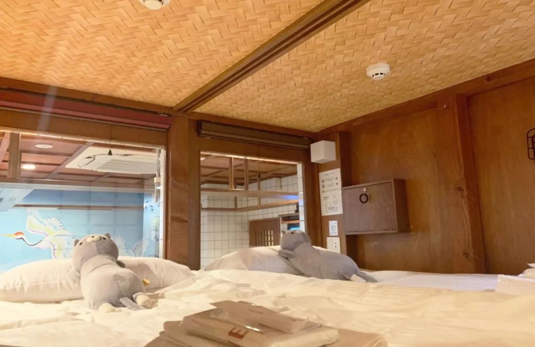 猫咖是不是会收留真猫咪打工,猫咪去猫咖打工是真的吗