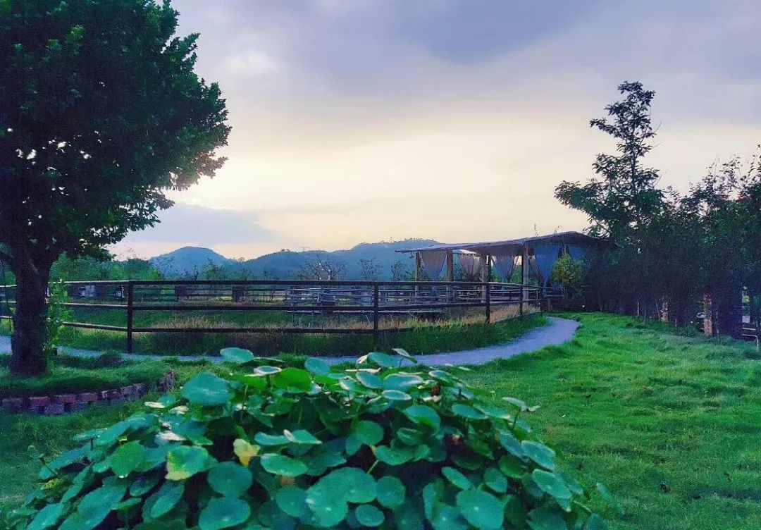 藏于稻田竹海中的增城轻奢民宿,广州增城中新镇三天两夜民宿推荐