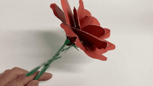 六年级孩子送老师什么教师节礼物,让老师哭的独一无二的教师节礼物