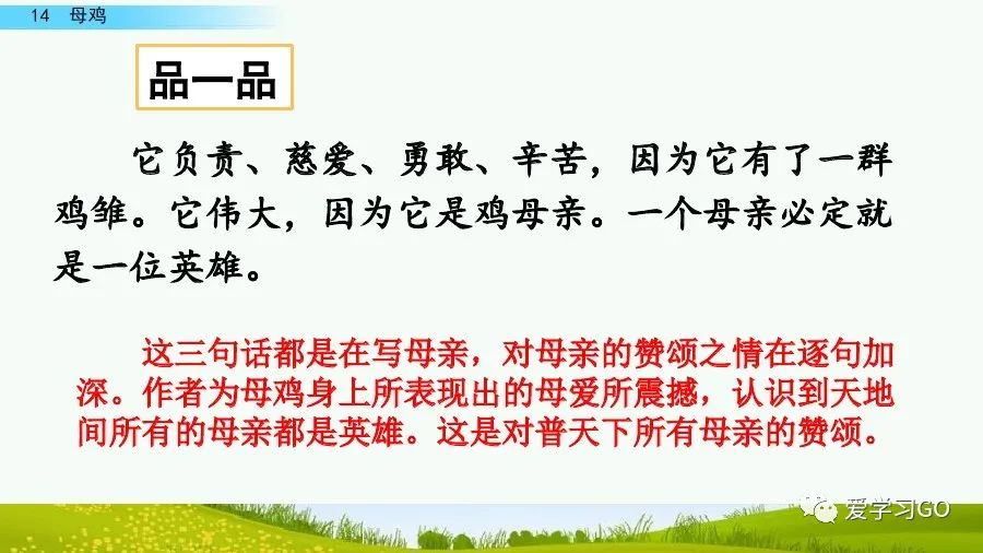 四年级下册语文母鸡课文重点讲解,四年级下册语文14课母鸡重点知识