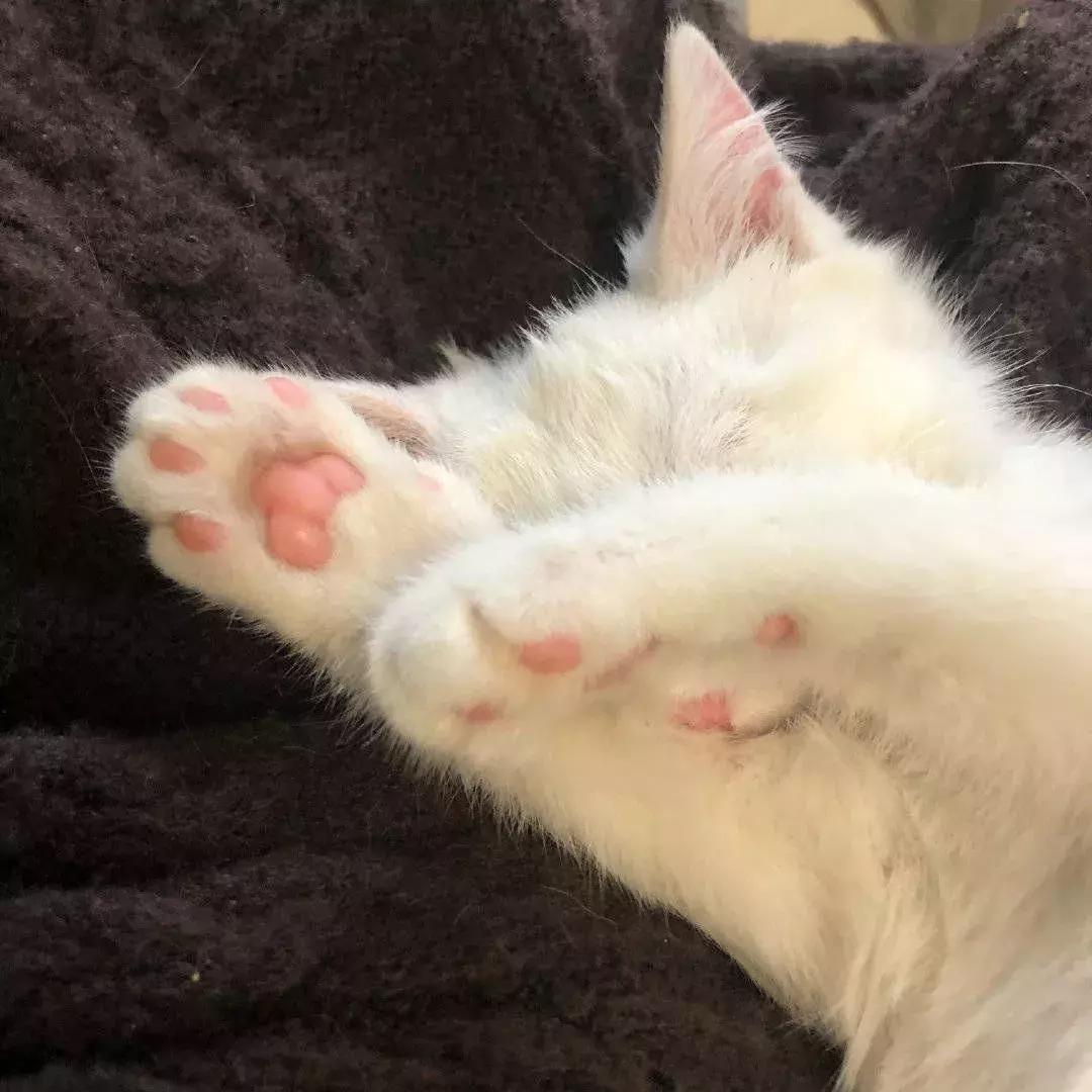 最吓人的口红排行榜,21支口红