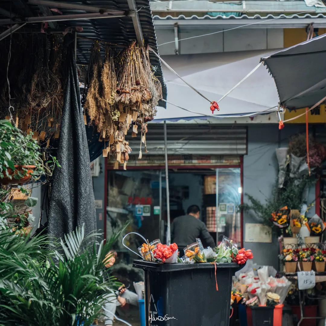 武汉地铁循礼门鲜花花市,武汉循礼门花市蓝色玫瑰
