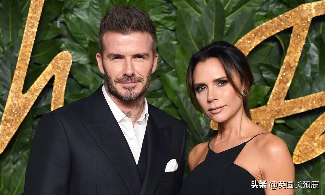 阵容逆天,各大明星演唱会现场直播