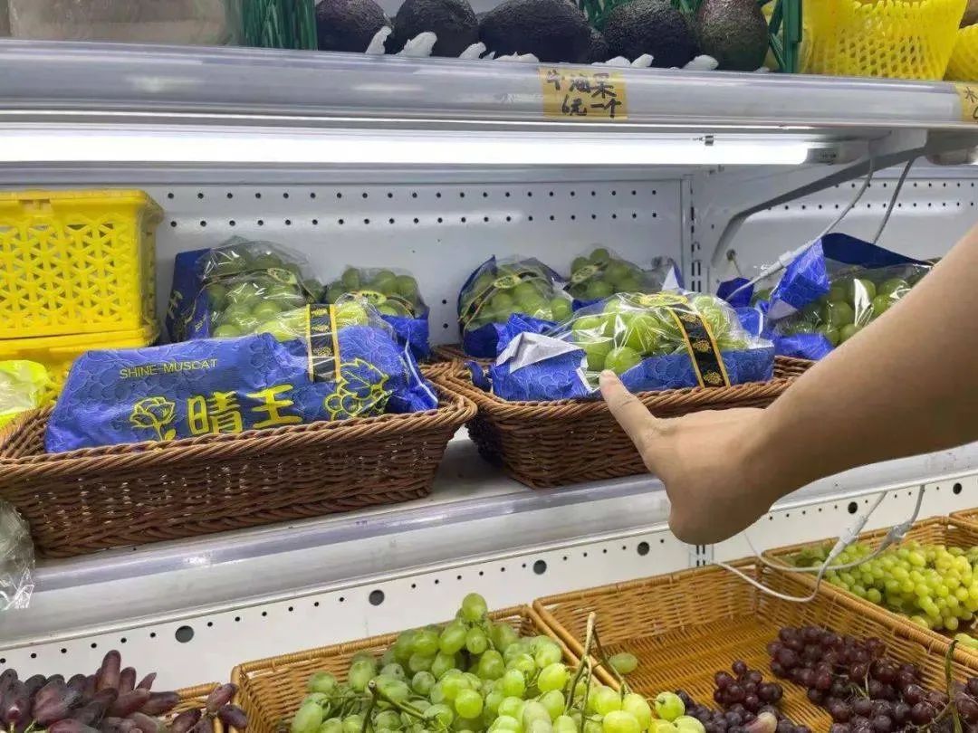 晴王和阳光玫瑰是一个品种吗,日本晴王葡萄和阳光玫瑰的区别