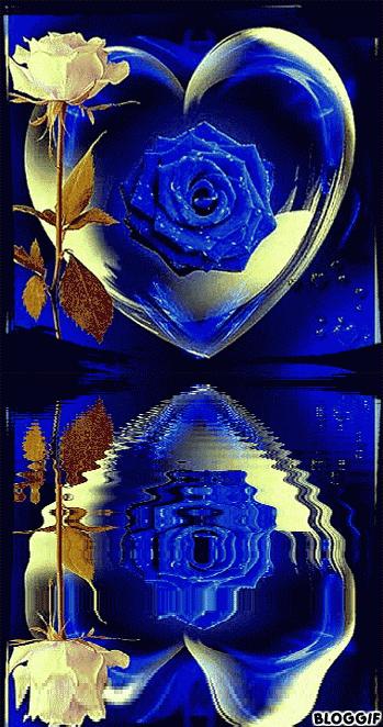 海边水中玫瑰花图片高清大图,最美山水花草倒影图片