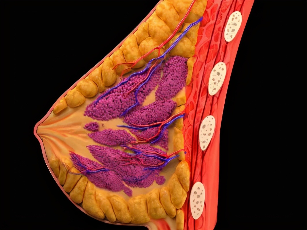 减肥太快胸松弛怎么办,减肥怎么维持胸不变小