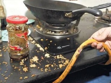 餐厅防鼠灭鼠最佳方法,餐厅用什么灭鼠最好