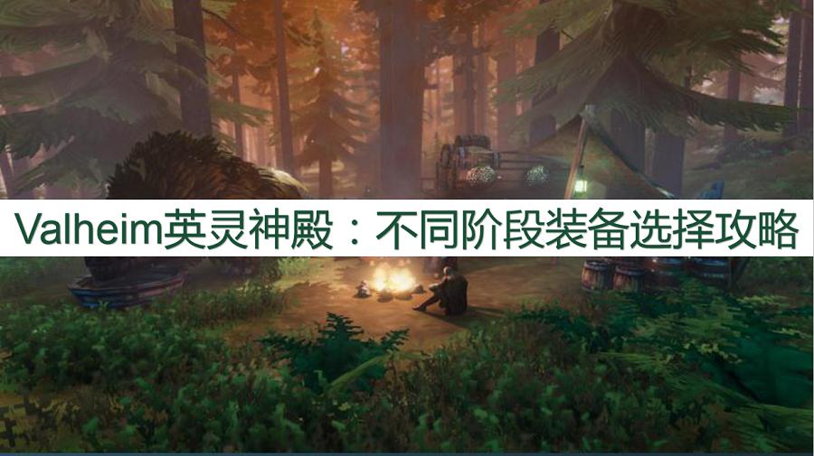 valheim英灵神殿买哪个版本,valheim英灵神殿新手开荒30天