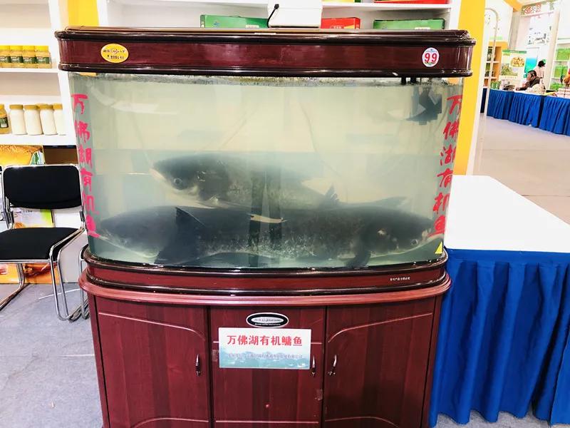 合肥农交会东西便宜吗,合肥农交会上的特产