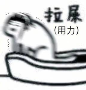 狗狗的便便一坨一坨的,怎么才能让狗狗拉的便便干