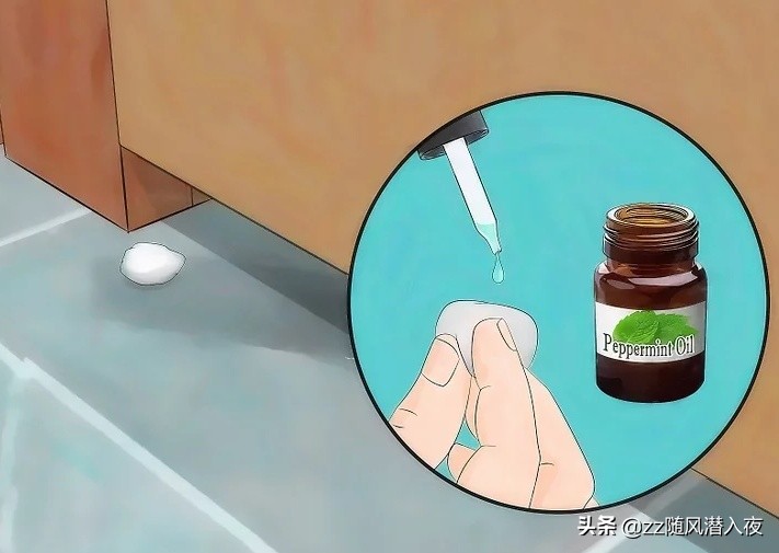 声波驱逐老鼠好用吗,如何以自然方法驱逐老鼠