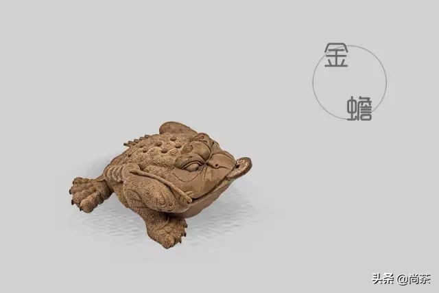 茶宠直播福袋,最好的10种茶宠