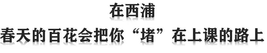 西交利物浦苏州校区,苏州西交利物浦美女