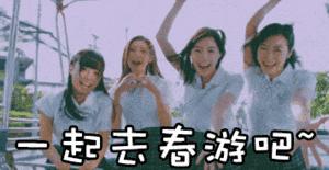 南阳赏花最佳地点,南阳春天赏花的地方有哪些推荐