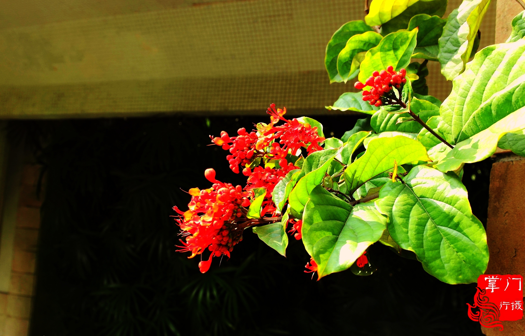 广州白云山游记一次身心愉悦之旅,广州白云山云台旅游