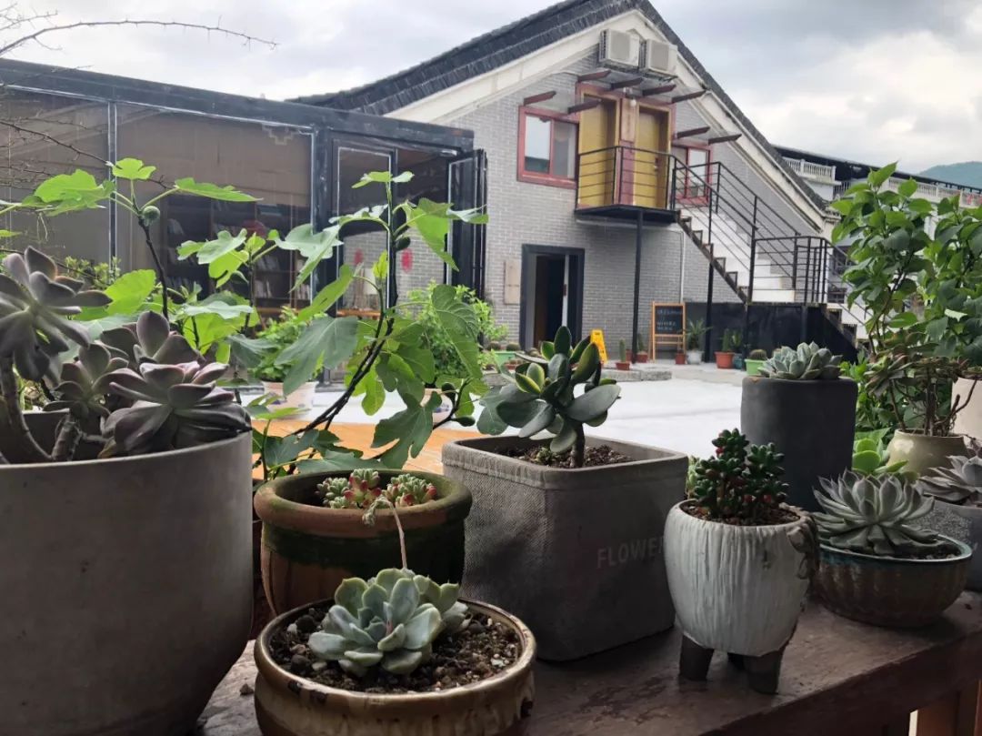 湖南民宿最美的小院在哪,湖南最美十大民宿